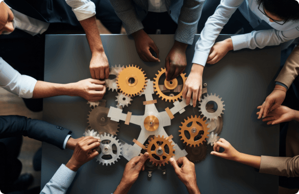 About us image-image