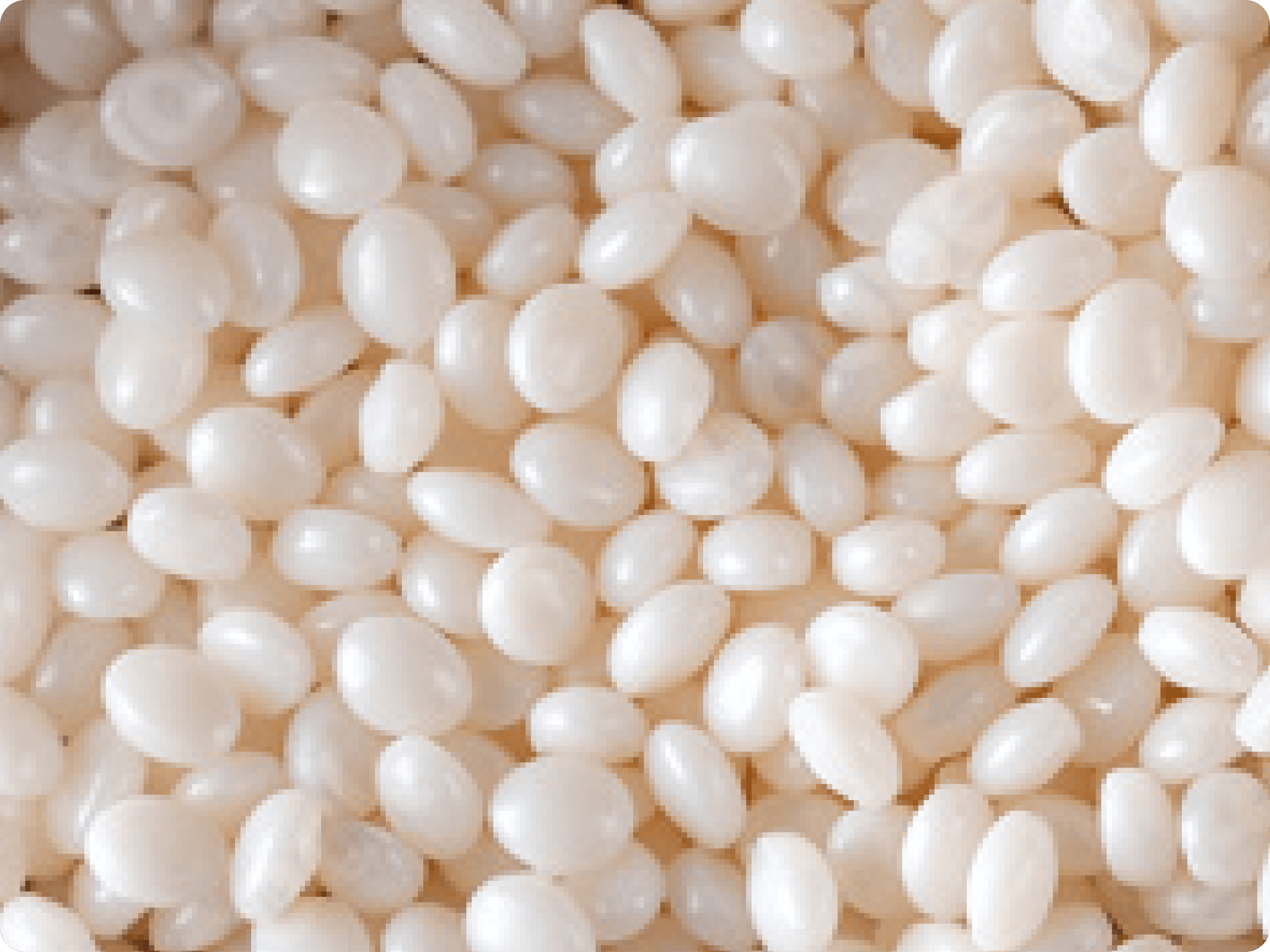 Bio Polymer Blends 1 image